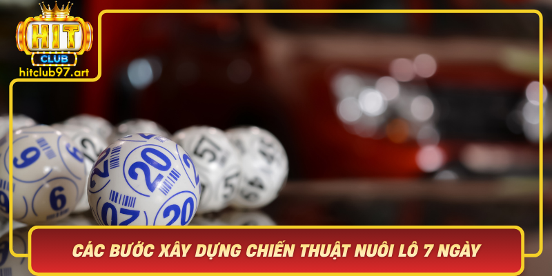 Cac Buoc Xay Dung Chien Thuat Nuoi Lo 7 Ngay Hieu Qua