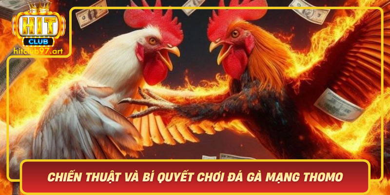 Chien Thuat Va Bi Quyet Choi Da Ga Mang Thomo