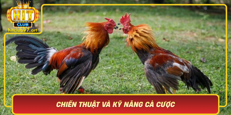 Chien Thuat Va Ky Nang Ca Cuoc Bi Quyet Thang Loi Tu Hitclub