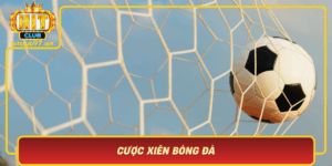 Cuoc Xien Bong Da Chinh Phuc Ty Le Thang Cao Tu Hitclub
