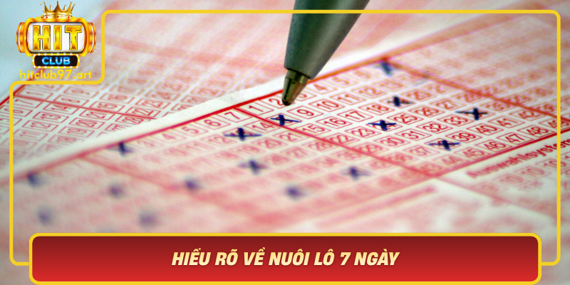 Hieu Ro Ve Nuoi Lo 7 Ngay Chien Thuat An Toan Hay Rui Ro