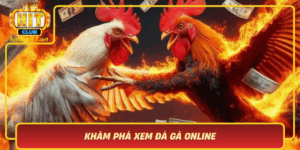 Kham Pha Xem Da Ga Online Trai Nghiem Dinh Cao Voi Hitclub