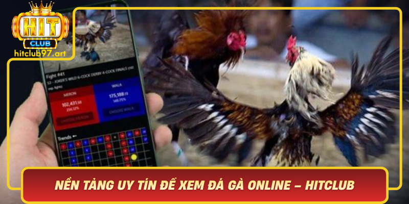 Nen Tang Uy Tin De Xem Da Ga Online Hitclub