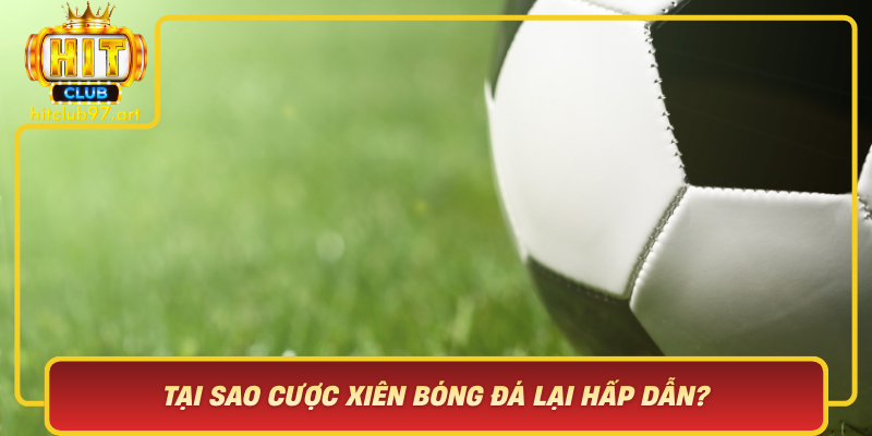 Tai Sao Cuoc Xien Bong Da Lai Hap Dan