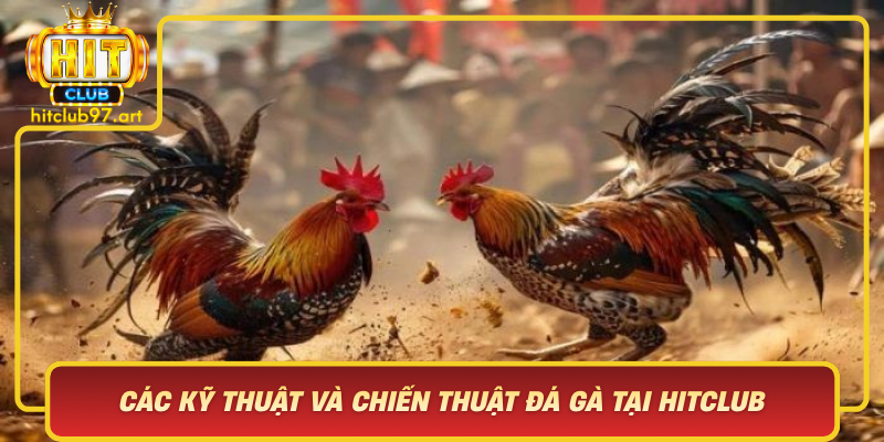 Cac Ky Thuat Va Chien Thuat Da Ga Tai Hitclub Chia Khoa Thanh Cong